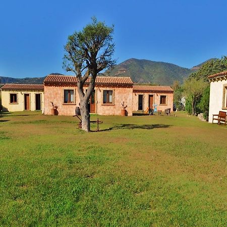 B&B Pubulos Olbia Exteriör bild