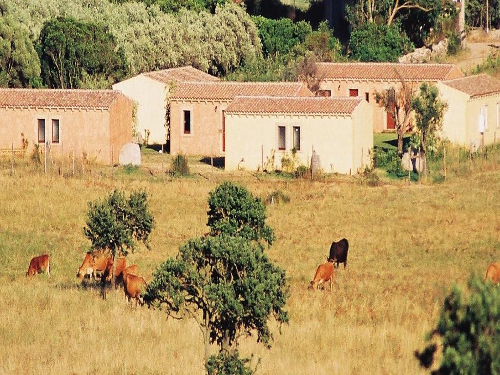 B&B Pubulos Olbia Exteriör bild